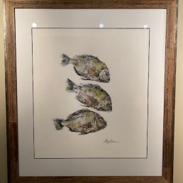 porgi fish watercolor