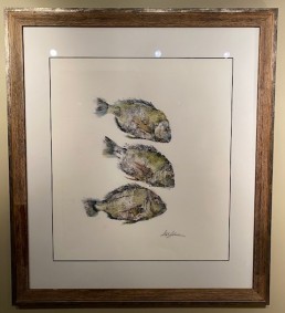 porgi fish watercolor